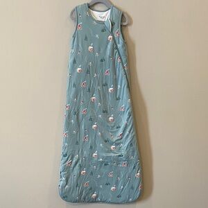 Kyte BABY Blue Sleep Sack with Fun winter Print